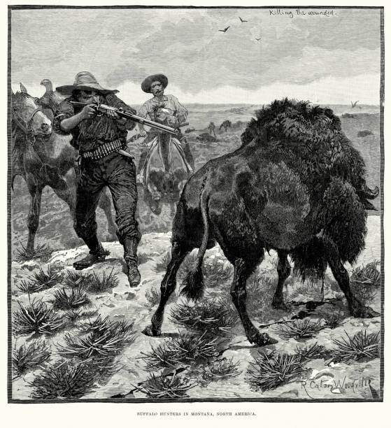 Wild West Buffalo Hunters, Montana Vintage engraving showing buffalo hunters in Montana killing a wounded buffalo. London Illustrated News, 1886. buffalo shooting stock illustrations