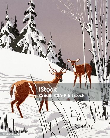 istock Winter Scene of Deer in the Woods 1328218619