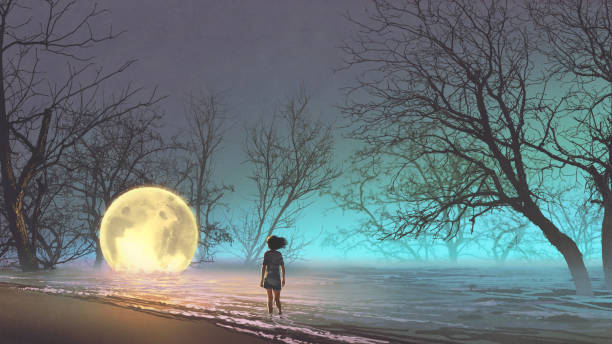 woman looking at a fallen moon night scenery of young woman looking at the fallen moon on the lake, digital art style, illustration painting full moon illustrations stock illustrations