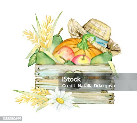 istock Wooden box, apples pumpkin, pears, chamomile, wheat ears, straw hat, grass. Watercolor concept on an isolated background. 1388150699