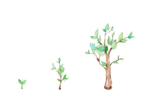 Wooden growth Wooden growth
From a sprout, from a plant, tree afforestation stock illustrations