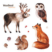 istock Woodland set with cute reindeer,fox,owl and squirrel 1179777794
