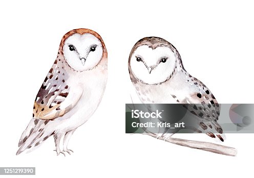 istock Woodland watercolor cute animals baby owl. Scandinavian owls on forest nursery poster design. Isolated charecter 1251219390