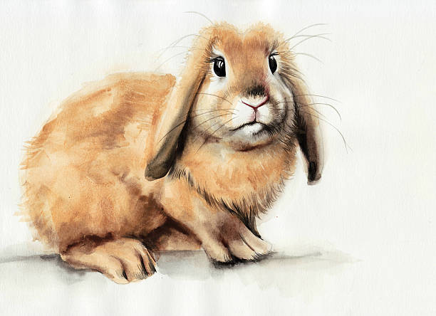 Yellow bunny watercolor painting vector art illustration