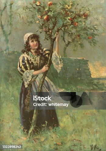 istock Young girl shaking an apple tree to gather its fruit 1322898242