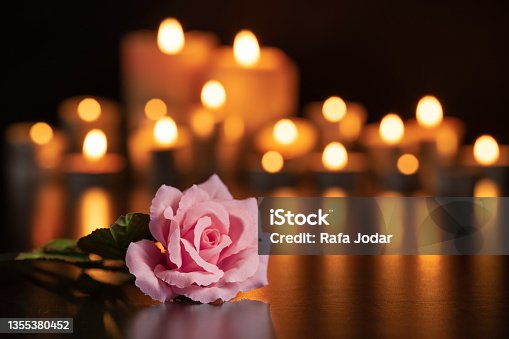 istock PINK ROSE ON THE GRAVE AND LIGHTED CANDLES UNFOCUSED IN THE BACKGROUND. 1355380452