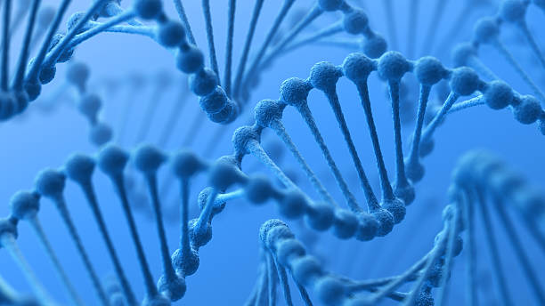 DNA Genetics background. 3D render. genetic research stock pictures, royalty-free photos & images
