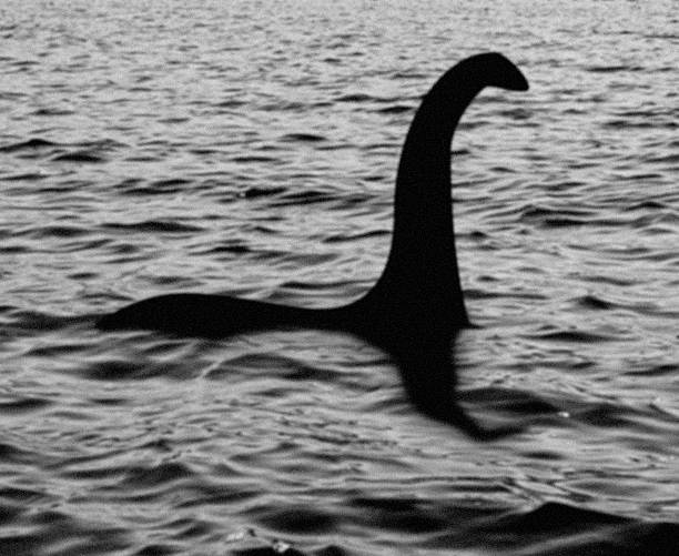 OBJECTS 11 Loch Ness Monster sighting!! The water is from one of my other images. Added noise and blur to make it look like the famous old hoax picture. monster fictional character photos stock pictures, royalty-free photos & images