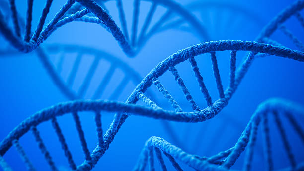DNA Genetics background. 3D render. helix model stock pictures, royalty-free photos & images