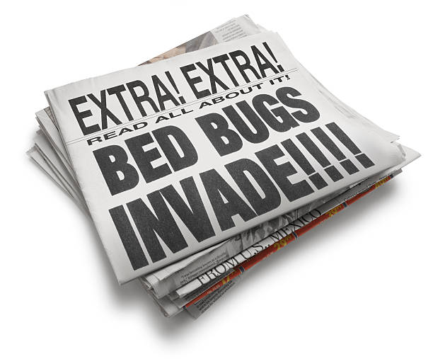 BED BUGS INVADE A newspaper with the headline " BED BUGS INVADE". bed bug treatment stock pictures, royalty-free photos & images