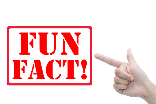 fun-facts-about-humans