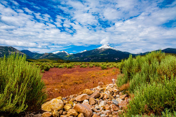 0000242_Distant view of Wheeler Peak at Great Basin National Park _2197 Wheeler Peak looms above a colorful spring meadow at Great Basin National Park, Nevada great basin stock pictures, royalty-free photos & images