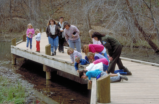 Springfield, MO, USA March 8, 1988 Elementary school children explore the aquatic wonders of the Springfield (MO) Nature center with a Naturalist looking on.