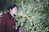 2000年代の中国の成熟した女性の実生活の写真