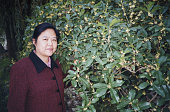 2000年代の中国の成熟した女性の実生活の写真