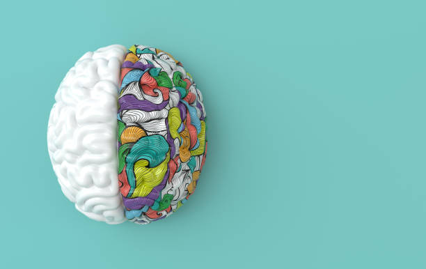 3d brain rendering illustration template background. the concept of intelligence, brainstorm, creative idea, human mind, artificial intelligence. - inspiração imagens e fotografias de stock