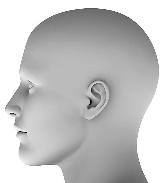 3d head isolated on white background hires ray traced 3d head isolated on white background hires ray traced  human head stock pictures, royalty-free photos & images