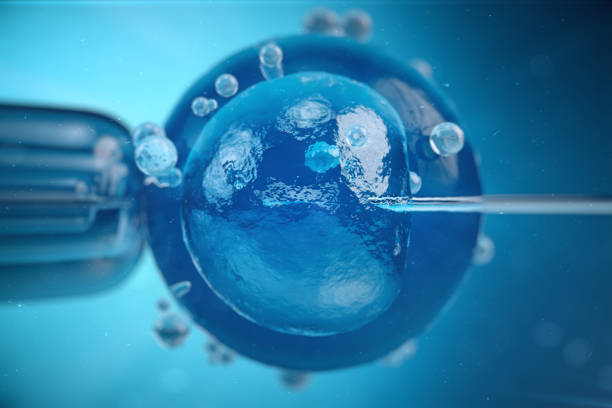 3d illustration artificial insemination, fertilisation, Injecting sperm into egg cell. Assisted reproductive treatment. stock photo