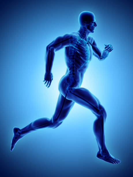 3d illustration male running pose with x-ray skeleton joint, medical concept. stock photo