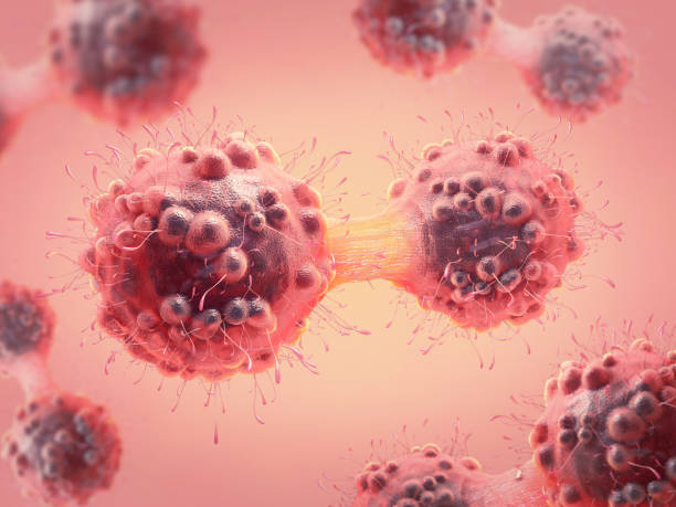 3d illustration of a cancer cell in the process of mitosis stock photo