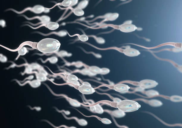 3d illustration of sperm cells moving to the right stock photo
