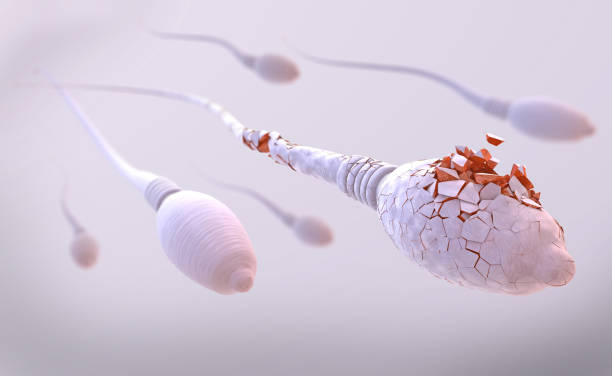 3d illustration of white damaged sperm cells swimming to the right stock photo