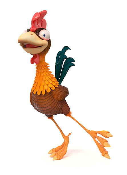 Royalty Free Crazy Rooster Pictures, Images and Stock Photos - iStock