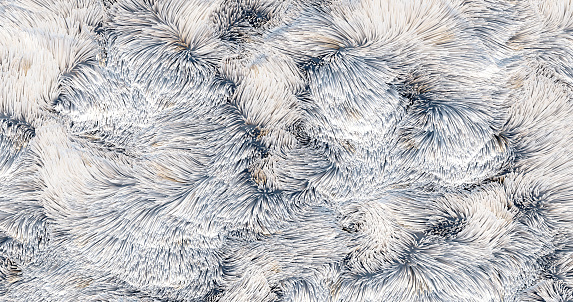 3d rendering. Fur coat for the surface. Woolen flooring.