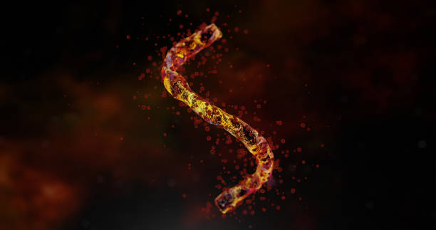 3d rendering - Micro toxins come out of an infected bacterium on dark background stock photo