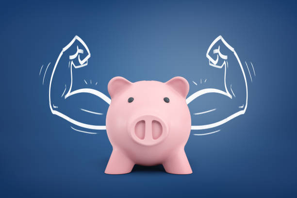 3d rendering of a piggy bank front view with strong arms drawn on both sides on a blue background. stock photo