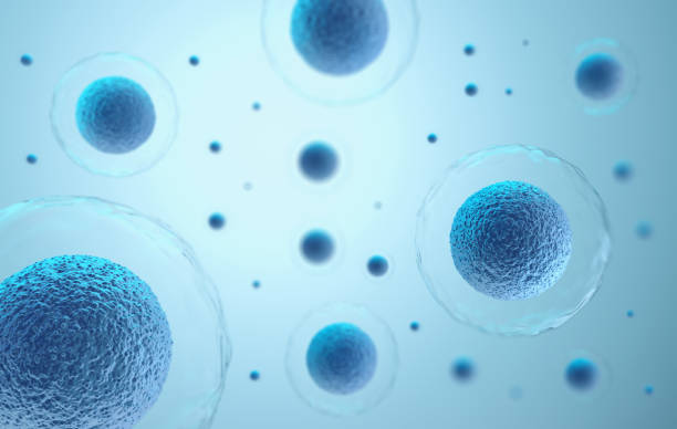 3d-rendering van menselijke cellen in een blauwe achtergrond. - cel stockfoto's en -beelden