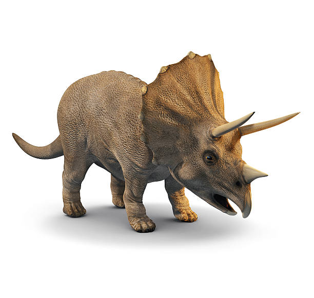 Best Triceratops Stock Photos, Pictures & Royalty-Free Images - iStock