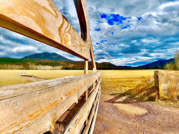 a gate to the prairie driving in montana, usa samuel howell stock pictures, royalty-free photos & images