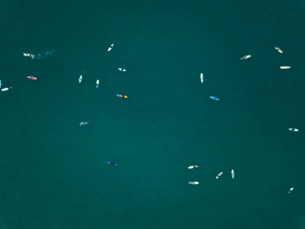 muchos surfistas en el océano azul. disparo de drones - michigan shooting fotografías e imágenes de stock