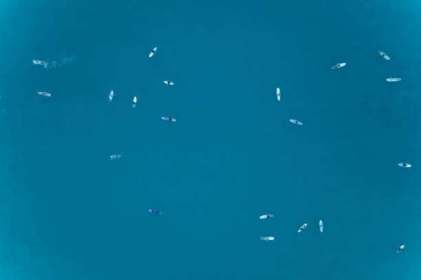 a lot of surfers in the blue ocean. Drone shot surfing in the blue ocean. Drone shot michigan shooting stock pictures, royalty-free photos & images