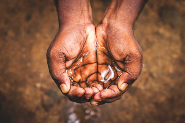 california almonds water crisis