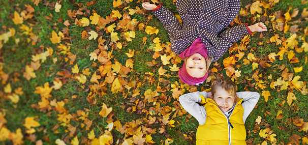 a smiling children enjoys the golden autumn colors