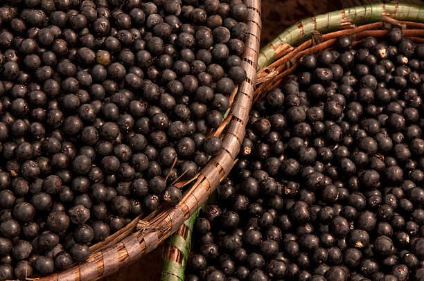 Açai in the baskets stock photo
