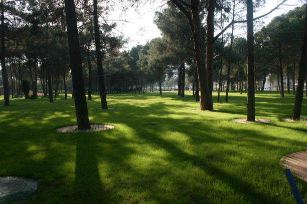 https www istockphoto com photos k c4 b1rsal manzara