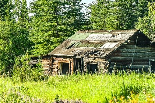 A cabin continues to deteriorate in Interior Alaska. Abandoned, burn, and left to return to nature, this cabin is slowly losing the battle.