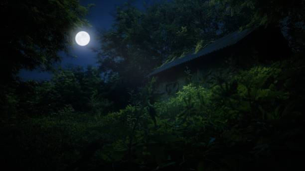 Abandoned fairy old house hut in the summer forest glade  in the moonlight at night stock photo