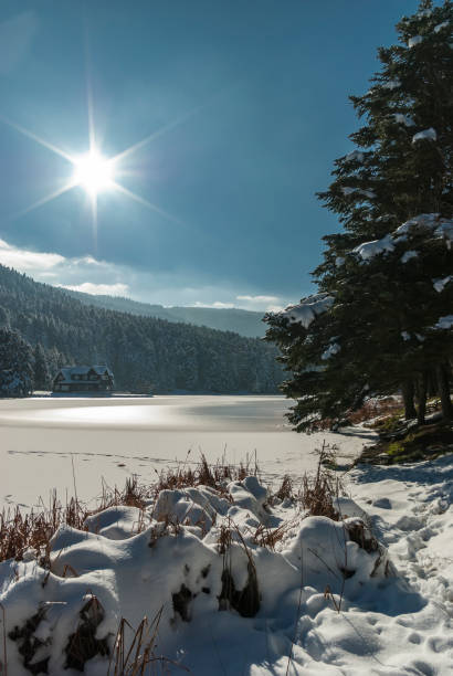 Abant Lake National Park in Winter stock photo
