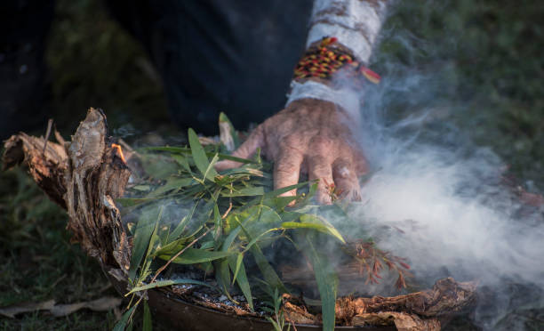 Aboriginal elder's hand places eucalyptus leaves on fire. Aboriginal elder places eucalyptus leaves on fire for smoking ceremony to start Mardi Grass parade in Nimbin,Australia.A smoking ceremony is a traditional Aboriginal practise which is used to cleanse the area of bad spirits and ensure the success of the parade. ceremony stock pictures, royalty-free photos & images