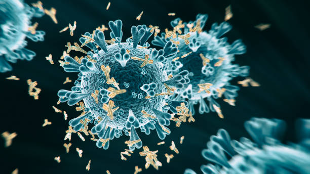 abs covid-19 antikörper - coronavirus mutation stock-fotos und bilder