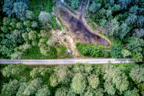 Abstract aerial view of forest path between trees next to pond stock photo