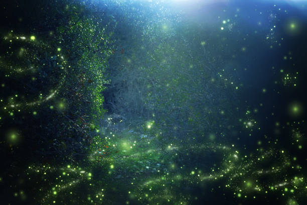 imagen abstracta y mágica de luciérnaga volando en el bosque de noche. concepto de cuento de hadas. - fairy fotografías e imágenes de stock