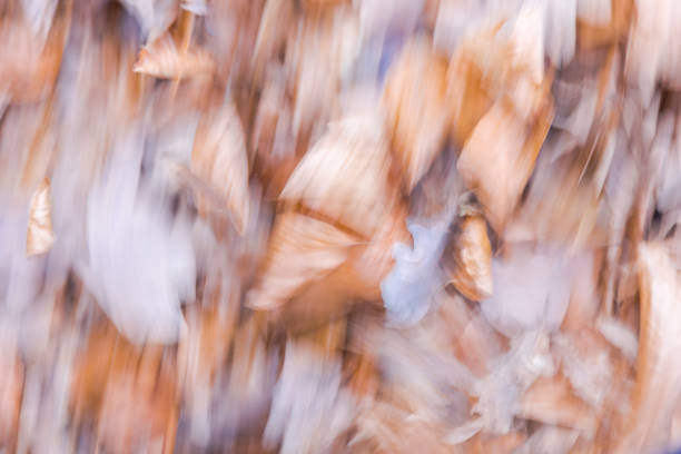 abstract background of autumn leaves in blurred motion stock photo