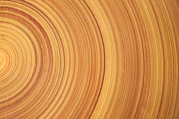 Abstract background of Tree ring or wood log stock photo