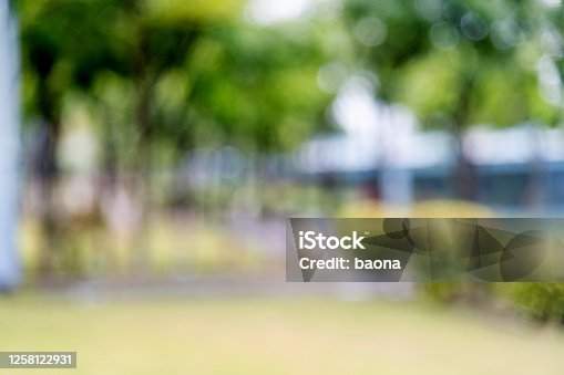 istock Abstract blurred background of trees and lawn 1258122931