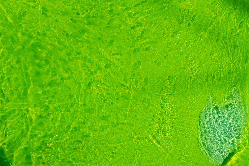 Abstract bright green background made of transparent slime with air bubbles.